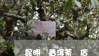 昆明 普洱茶 店/2023031674285